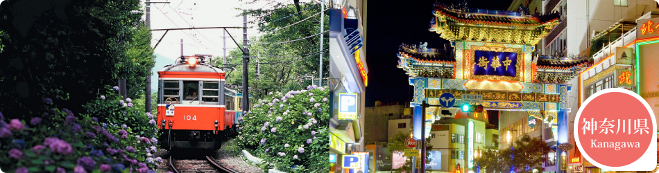 遊ぷらざ 得観光クーポンマークの施設がお得な観光クーポンを公開中です 神奈川県