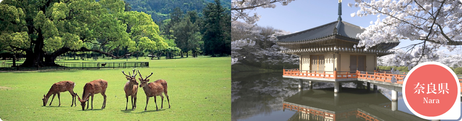 遊ぷらざ 得観光クーポンマークの施設がお得な観光クーポンを公開中です 奈良県