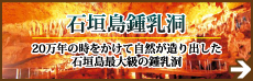 石垣島鍾乳洞 20万年の時をかけて自然が造り出した石垣島最大級の鍾乳洞