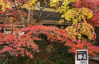 外観：紅葉の季節